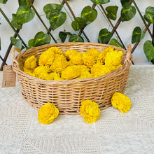 画像をギャラリービューアに読み込む, Maga Basket Wicker