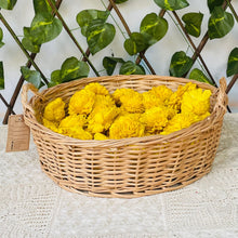 画像をギャラリービューアに読み込む, Maga Basket Wicker