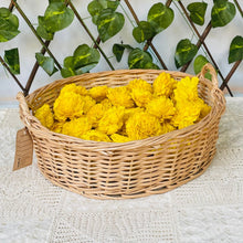 画像をギャラリービューアに読み込む, Maga Basket Wicker