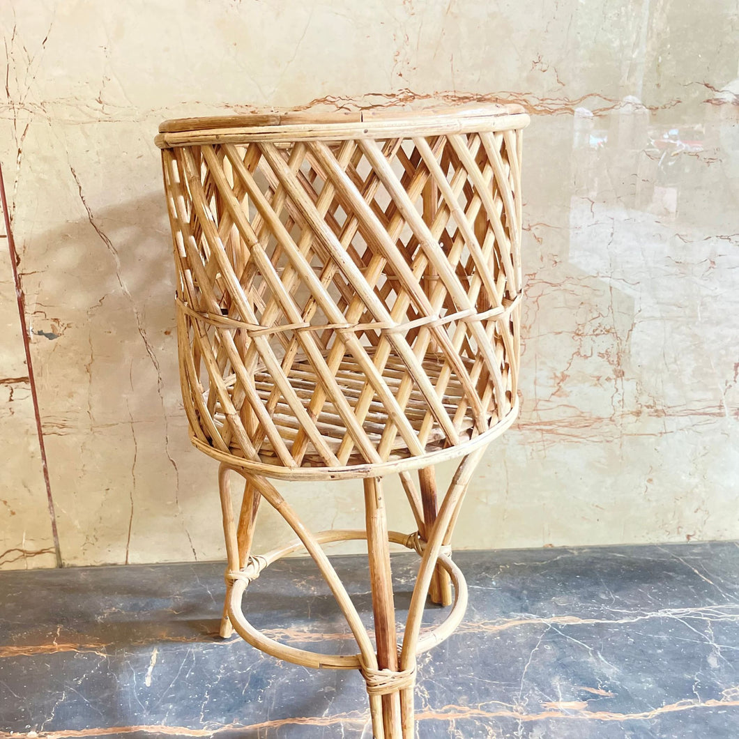 Cane Planter with Stand - Small
